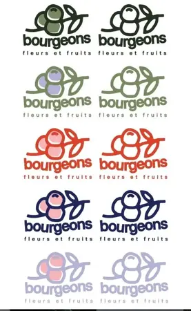 Bourgeons Juliette Quillivic