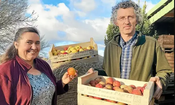 Verger Pomme d'Api'zz