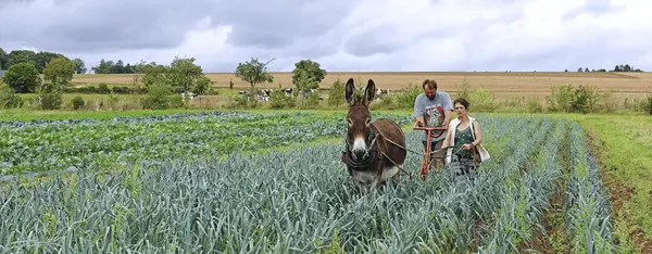 Ardennes bio, une culture de groupe
